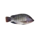 Tilapia Whole Black