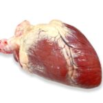 BEEF HEART JANTUNG  LEMBU* COLLECTION ONLY