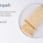 TEMPEH SOY BEANS FERMENTED 400gm Natural Vegetarian Foods