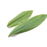 DAUN KUNYIT TUMERIC LEAF