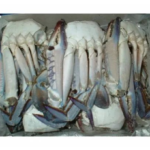 CRAB BLUE SWIMMING CUT