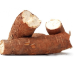 CASAVA UBI KAYU
