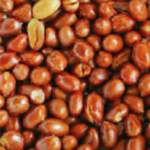 KACANG GORENG FRIED PEANUT