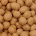 KACANG KOKO PEANUT