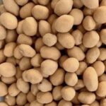 KACANG KOKO 105gm Combywide