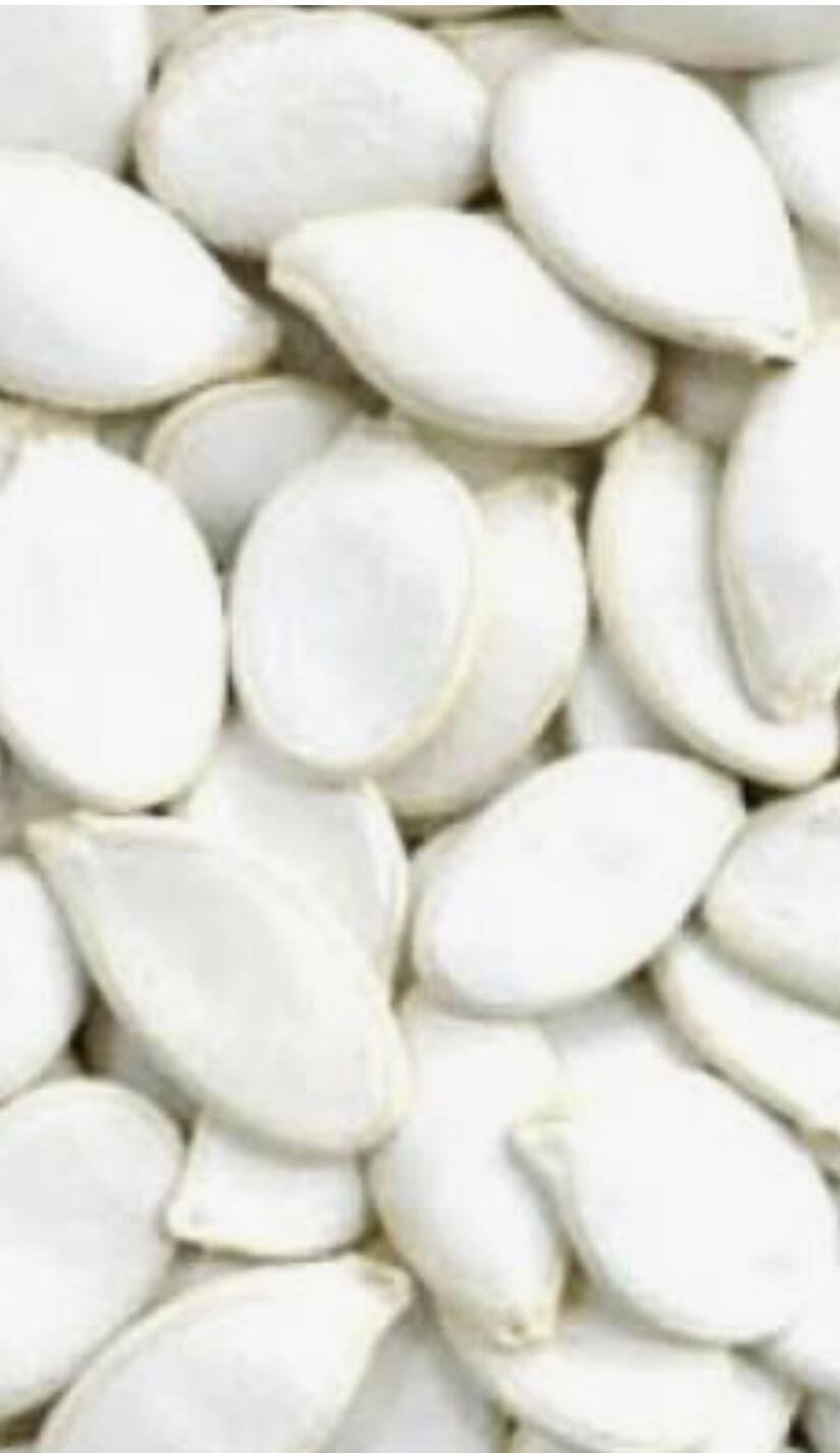 kuaci putih - Google Search